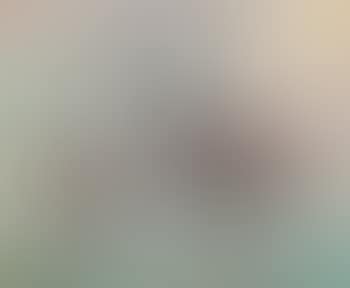 Hirschkühe (preview)