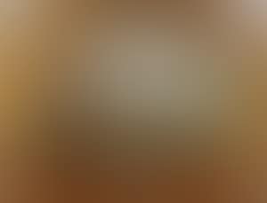 Fox and terrier scenes (preview)