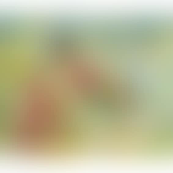 Composition (preview)