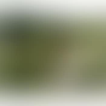 Idyll (preview)