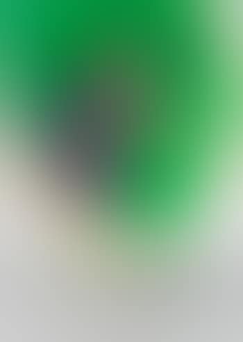 Still life (preview)