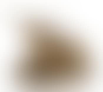 Texas Longhorn (preview)