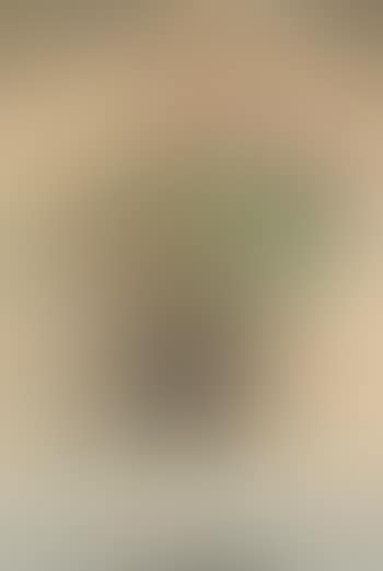 Blumenstillleben (preview)