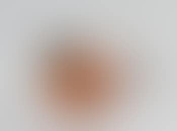 [Untitled] (preview)