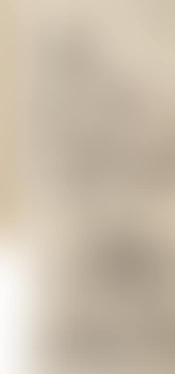 Landscape (preview)