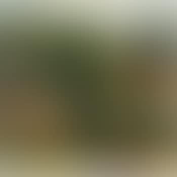 Landscape (preview)