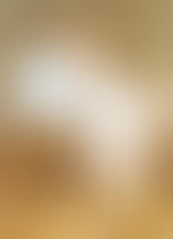 Pferd im Stall (preview)