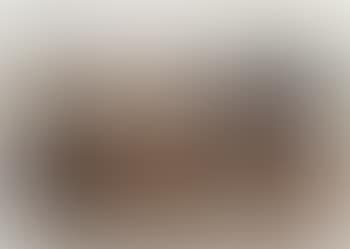 Schafe an der Salzlecke (preview)