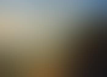 Paysage des bords du Rhin (preview)