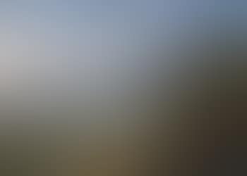 Idealised Rhein river landscape (preview)