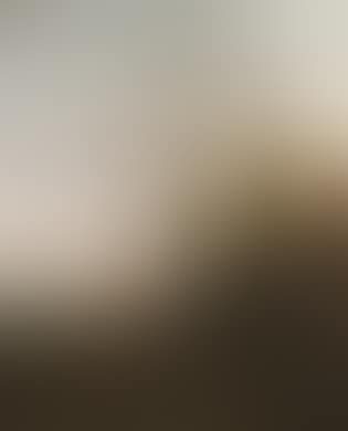 Landscape (preview)