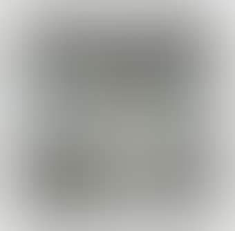 Seestück (leicht bewölkt)  (preview)