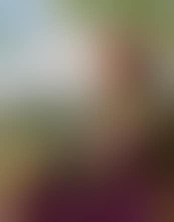 Retrato femenino (preview)