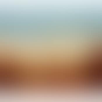 Venice (preview)