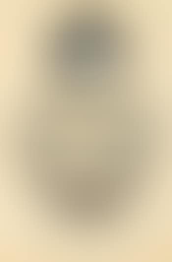 Belle Haleine, Eau De Voilette (preview)