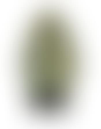 Ägg (preview)