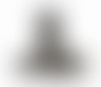 Buste De Rik Wouters (preview)