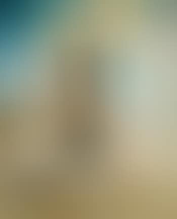 Portrait Of Mrs Ortiz-linares (preview)