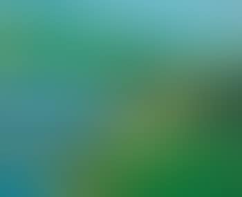 Landscape With Three Trees (preview)