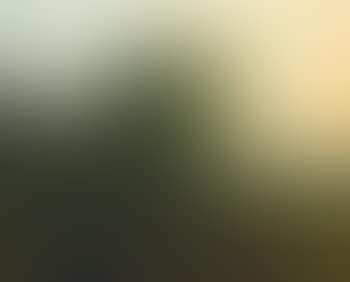 The Flight Into Egypt (preview)