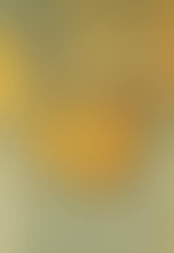 The Ship - Design In Three Tints Of Gold (preview)