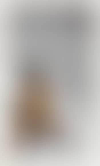 Donna nuda al telefono (preview)