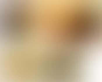 Untitled; Untitled; Untitled; Untitled (preview)