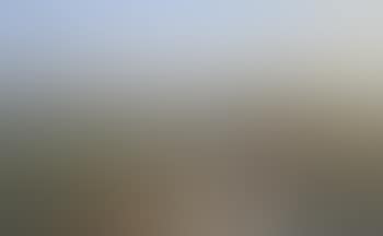 View of Florence from Villa Petraja (preview)