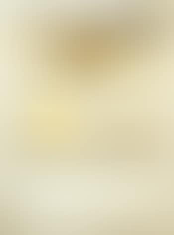 [Untitled] (preview)