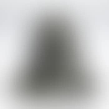First Portrait of Miriam Plichte (bust) (preview)