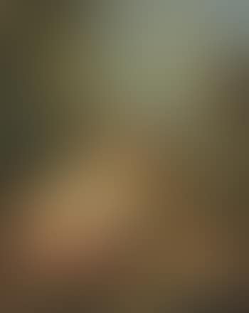 Bacchus and Ariadne (preview)