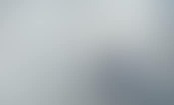 Foggy Morning (preview)