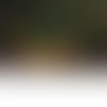 Still Life with Fruit (preview)