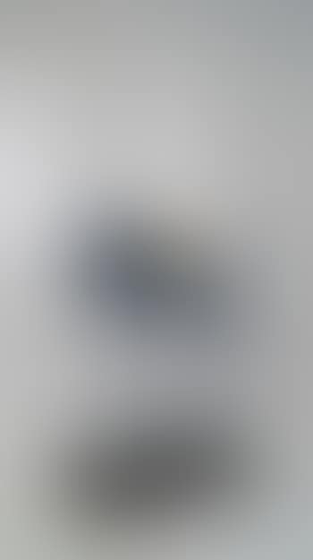 Elephant Spatial (Space Elephant) (Descharnes 631) (preview)