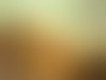 Landscape with cows (preview)