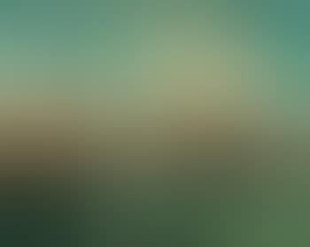 Venezia (preview)