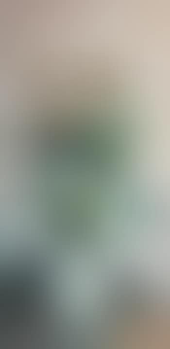 Bloemenvaas (preview)