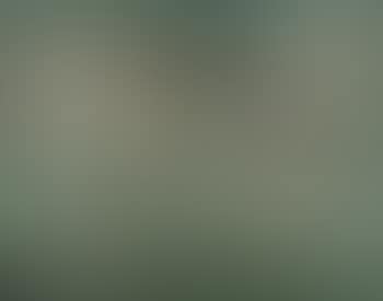 Abstraction (preview)