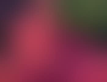 Composition (preview)