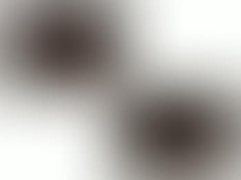 Stillleben mit Vögeln, junger Frau und Katze; Jagdstillleben mit jungem Jäger, Spaniel und erlegtem Hasen zwischen Vögeln (preview)