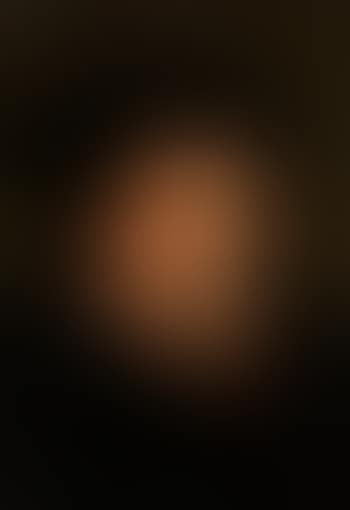 Portrait eines bärtigen Herrn (preview)