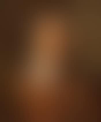Portrait eines Herrn in braunem Wams (preview)