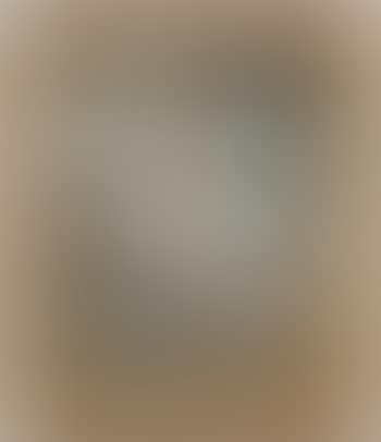 Fillette aux mouettes (preview)