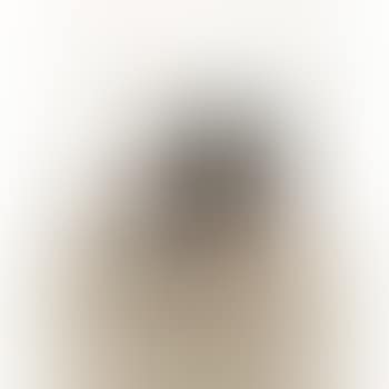Conference chair (preview)