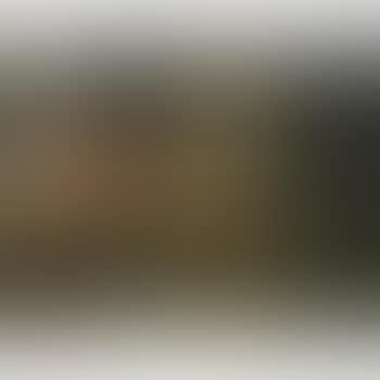 A lute player in an interior (preview)
