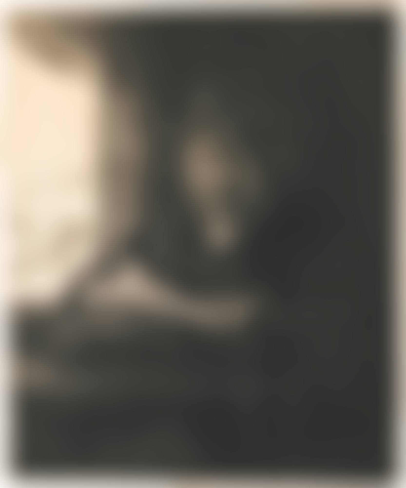 SELF PORTRAIT DRAWING AT A WINDOW (B., HOLL. 22; NEW HOLL. 240; H. 229) (preview)