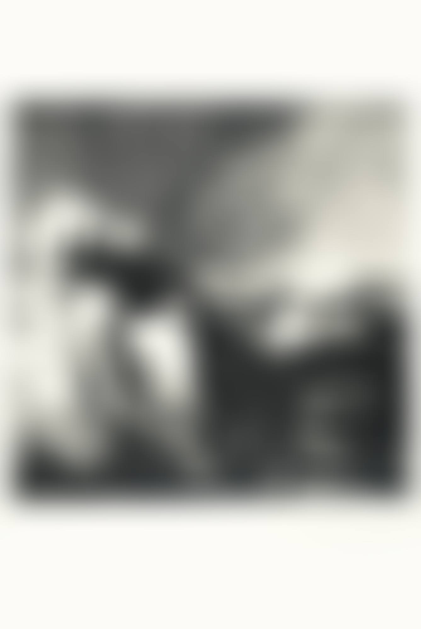 ICONES (preview)