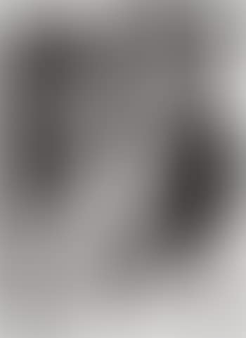 Self-Portrait (Photomontage) (preview)