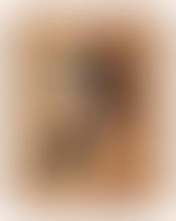 Untitled (preview)