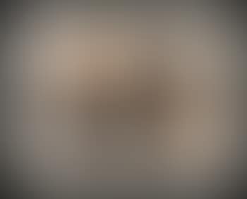 Perro (preview)